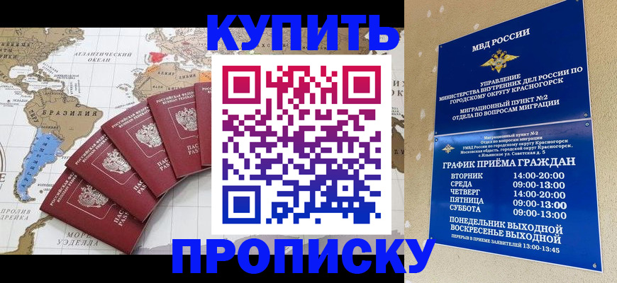 прописка от собственника в Чистополье